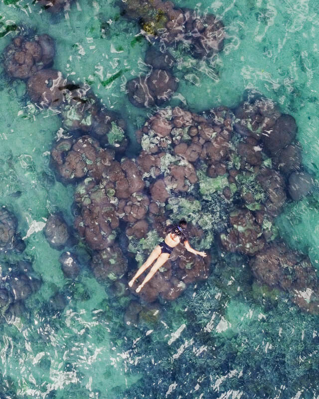 Snorkeling at Hospital Point